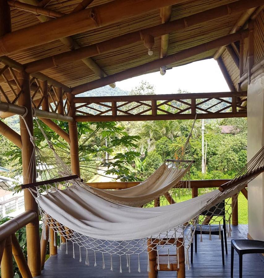 Golden Tree Mindo Eco-Lodge Esterno foto