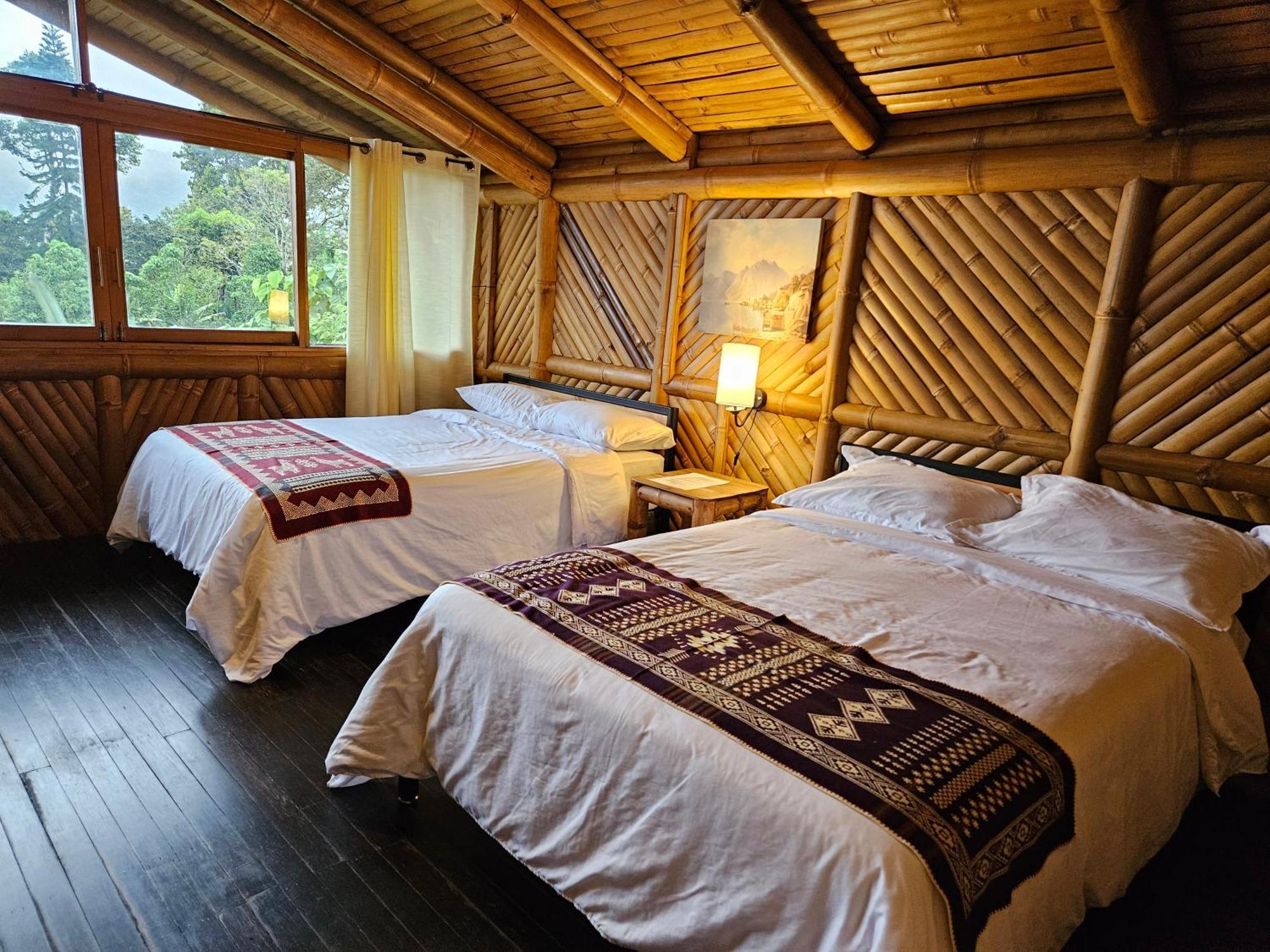 Golden Tree Mindo Eco-Lodge Esterno foto