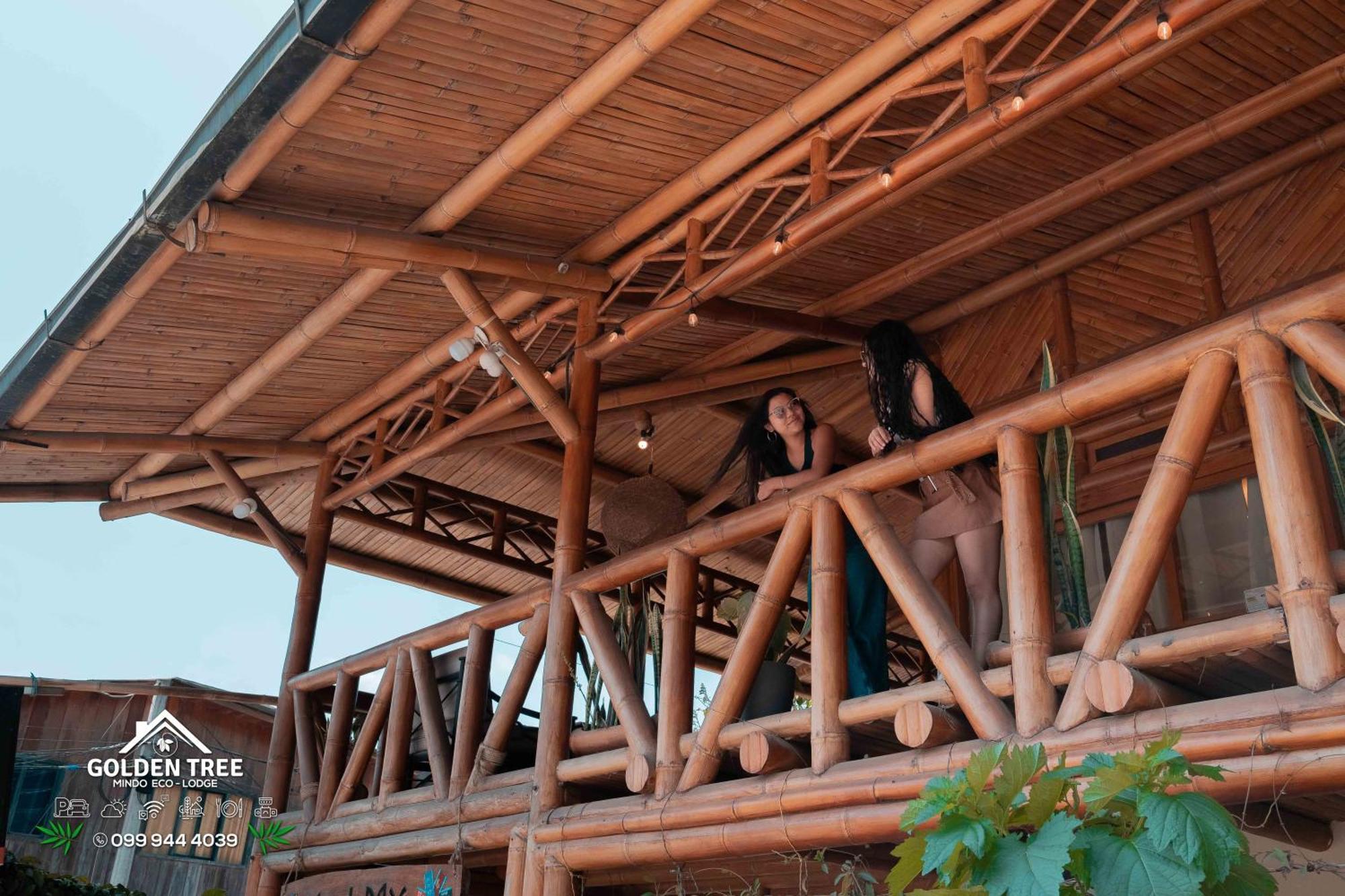 Golden Tree Mindo Eco-Lodge Esterno foto